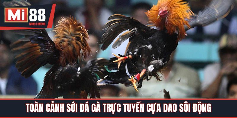 Toàn cảnh sới đá gà trực tuyến cựa dao sôi động